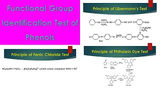 Qualitative Test of Phenols [upl. by Milty]