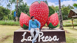 🍓 La Presa Farm  Tuburan  Sergio Osmeña  Zamboanga Del Norte [upl. by Ahtebat]