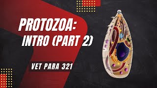 VET PARA 1  Protozoa Introduction Part 2  Chapter 10 [upl. by Ahsenyt]