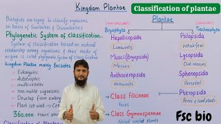 Kingdom plantae class 11  classification of plantae class 11 [upl. by Ashlee]