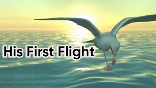 His First Flight Class 10 animation in English Two Stories About Flying Part1 animated video [upl. by Nathanil]