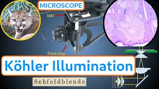 Köhler Illumination  How to build collimate and use the Köhler Illuminator for the PUMA microscope [upl. by Silra]