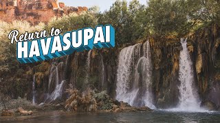 INCREDIBLE Waterfalls at Havasupai  Havasu Falls  Descending Mooney Falls [upl. by Airol764]