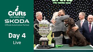 Day 4 LIVE  Crufts 2023 [upl. by Abil]