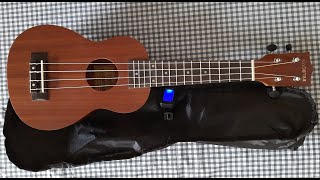 Kadence Ukulele unboxing [upl. by Yanffit]