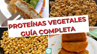 Top 5 PROTEÍNAS VEGETALES  Las MEJORES fuentes de PROTEÍNA VEGETAL [upl. by Lletnwahs]