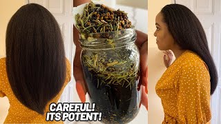 The Most Powerful Hair Growth Oil  Caution‼️It’s Super Potent [upl. by Alrats]