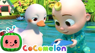 Five Little Ducks  CoComelon Furry Friends  Animals for Kids [upl. by Asiak]