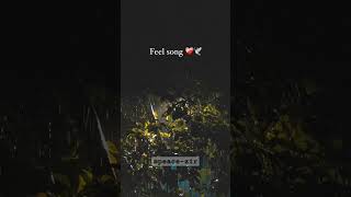 peacefulmusic music sedstatus sedsong lyrics lovestatus sedshorts peacez1r [upl. by Oam]