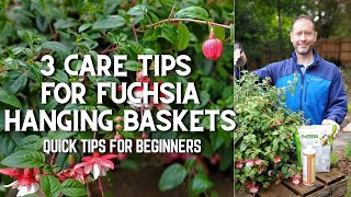 🌿 3 Fuchsia Hanging Basket Care Tips for Beginners shorts 🌿 [upl. by Heimlich]