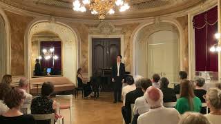 Schwanengesang  Franz Schubert [upl. by Artemed]