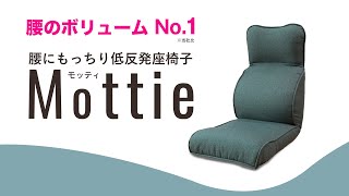 【座椅子 おすすめ】腰にもっちり低反発座椅子 Mottie（モッティ） 商品紹介 [upl. by Linea]