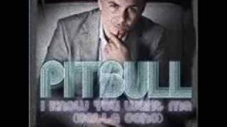 Pitbull  I Know You Want Me  REVERSED [upl. by Naleag]