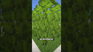 El minijuego más divertido de Minecraft 😮 [upl. by Beacham]