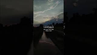 SURAH AL MUNAFIQUN AYAT shorts viral trending quran status [upl. by Manlove]