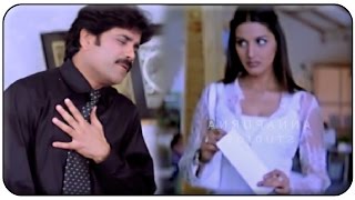 Sonali Bendre And Nagarjuna Romantic Scene  Manmadhudu Movie [upl. by Marcile]