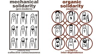 Durkheims Mechanical and Organic Solidarity what holds society together [upl. by Annavoig]