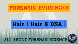 Evidence  Hair  Hair amp DNA   TANVI [upl. by Chrisse]