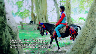 Mulu Bekele new song [upl. by Elleryt646]