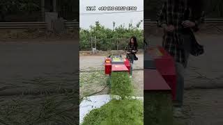 Horizontal grass cutter can crush wet and dry straw and the length can be adjusted automatically [upl. by Yelime]