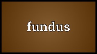 Fundus Meaning [upl. by Sharl]