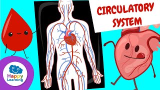 The Circulatory System for Kids  Happy Learning ❤️🩺🩸 [upl. by Esdras924]