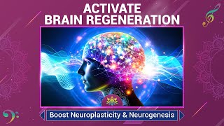 Activate Brain Regeneration  Boost Neuroplasticity amp Neurogenesis  Grow New Brain Neurons  528 Hz [upl. by Remark895]