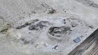 Grizzely Fumarole Mud Volcano Yellowstone National Park USA [upl. by Alita]