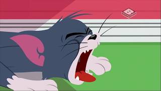 Tom and Jerry Top Cat Tuffy Love  Tom and Jerry Cartoon [upl. by Norahs]