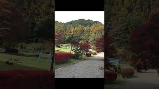 長野県佐久市の秘境  ジリの木広場で感じる紅葉の魅力 🍁 観光体験 佐久市 公園 [upl. by Ellednahc309]