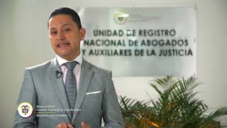 SeLoContamos  ¿Quiénes pueden ser Auxiliares de la Justicia [upl. by Ennovyahs]