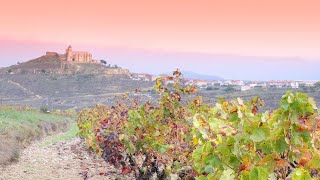 S2 Ep23 Rioja Four lovely recommendations from the newest Old World wine region this winter [upl. by Heti]