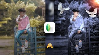 Snapseed Grey And Bird Effect Photo Editing Tricks 🔥  Snapseed Background Colour Change Tutorial [upl. by Ennasor]