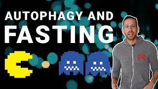 Fasting amp Autophagy Everything You Need To Know [upl. by Gowon509]