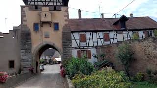 Guémar uno dei borghi più belli della Alsazia Lun des plus beaux village de France Alsace [upl. by Ohl]