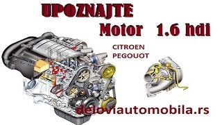 Upoznajte motor 16 hdi [upl. by Potash182]