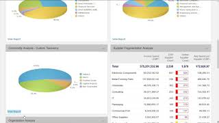 Spend Analysis Demo [upl. by Rozelle]