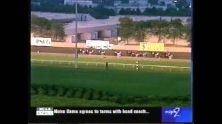 TASER GUN AT THE BREEDERS CROWN [upl. by Staford]