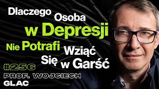 256 Jak Depresja Zaburza Działanie Mózgu Jak Lepiej Wykorzystać Mózg  prof Wojciech Glac [upl. by Kamp]