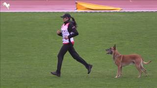 Campari vom Clan der Wolfe Christine Kisser Obedience FMBB 2019 [upl. by Cavit766]