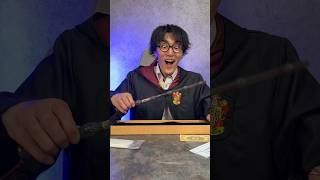 I Got a Harry Potter Wand [upl. by Nahc]