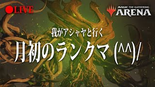 【LIVE】我がアシャヤと行く、月初のランクマゆる配信！！q【MTGA】 [upl. by Aliab]