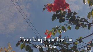 Tera Ishq Bada Teekha Slowed  Reverb  Javed Ali and Shreya Ghoshal 11Lofi [upl. by Seton]