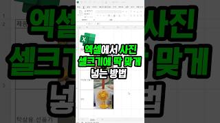 셀에 딱 맞게 이미지 넣는 방법 계속해서 수정 가능한 꿀팁 [upl. by Green111]