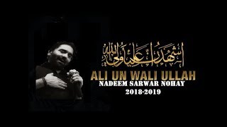 Aliun Waliullah 2019 Nadeem Sarwar  new nohay 2019 [upl. by Stone]