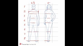 How to Draw Body Proportions in Procreate  People Skills Drawing Series [upl. by Lledyr]