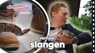 SLANGEN 🐍  SIMSALA SAARTJE 🐽  Educatieve kleutertelevisie l Reptielen [upl. by Ahsinuq]