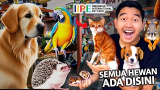 SIDAK PAMERAN HEWAN TERBESAR 2023 SEMUA PELIHARAAN ADA DI IIPE [upl. by Fina]