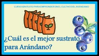 EL MEJOR SUSTRATO PARA ARÁNDANOS [upl. by Nerti846]