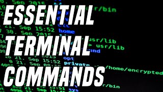 15 Useful Linux Commands Every Linux User Needs  Learning Terminal Part 1 [upl. by Jair]